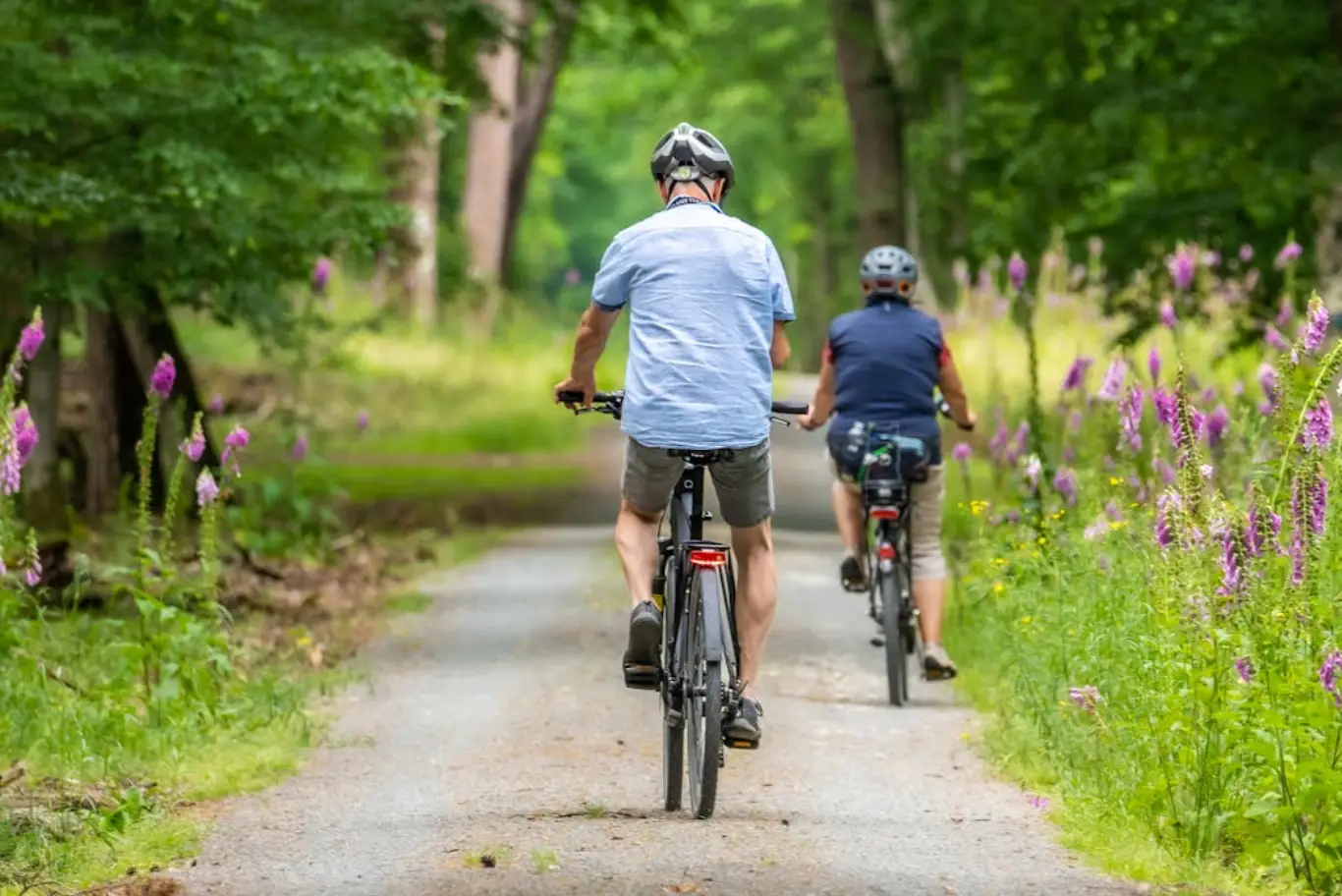 Due persone in bicicletta nel bosco.