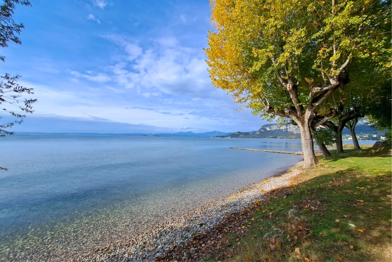 Lago e alberi in una giornata serena.