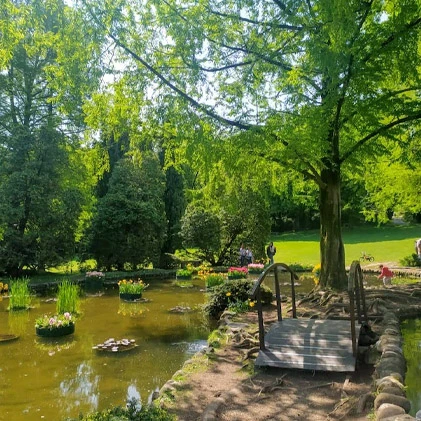 Giardino con stagno e ponte di legno