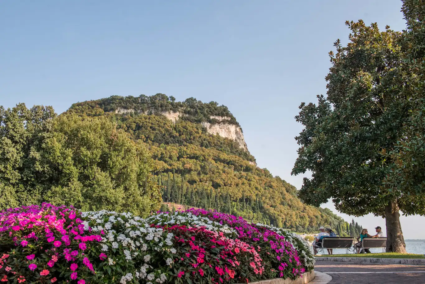 Panorama con fiori, panchine e montagna verde