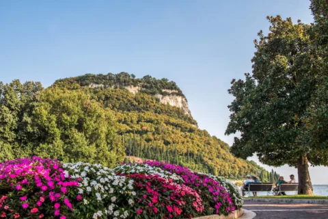 Panorama collinare con fiori colorati e panchina